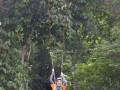 Tn DSC 4285